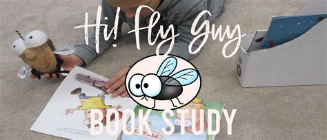 We LOVE Fly Guy! | Our Hi Fly Guy Book Study Activities | Mrs. Bremer's Class