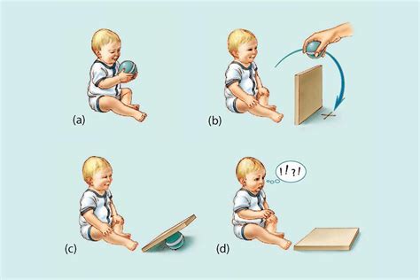 Object Permanence | Object permanence, Character, Jean piaget