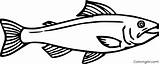 Salmon Coloring Pages 27 Free Printables  ColoringAll sketch template