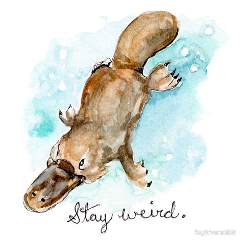 "Stay Weird, Platypus Watercolor Painting " Sticker for Sale by fugitiverabbit | Platypus ...