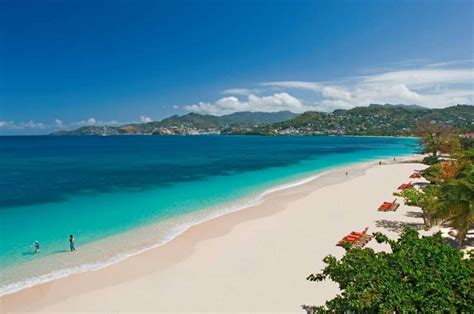 Grand Anse Beach Rated Best In The world By Condé Nast Traveller - Mikey Live