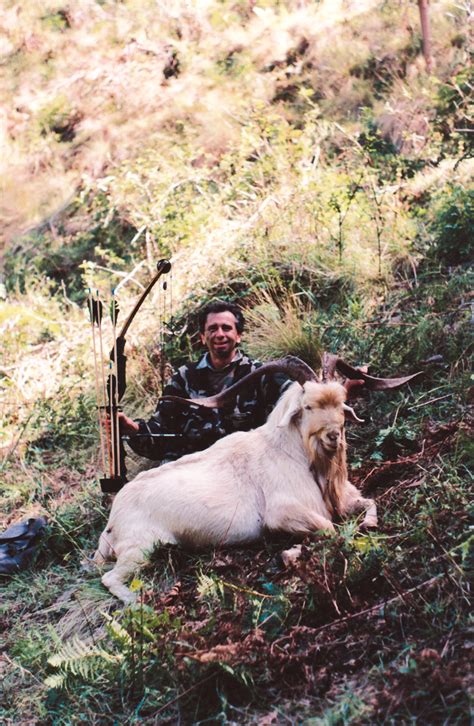 Feral Goat - South Pacific | Big Game Hunting Records - Safari Club International Online Record Book