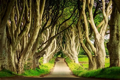 Game of Thrones Ireland Tour