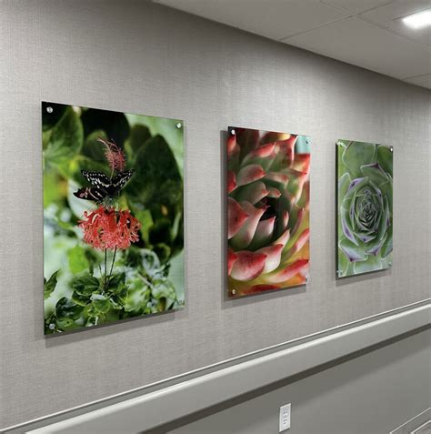 Recent Commercial project - Kuva Art | Where Art Meets Design