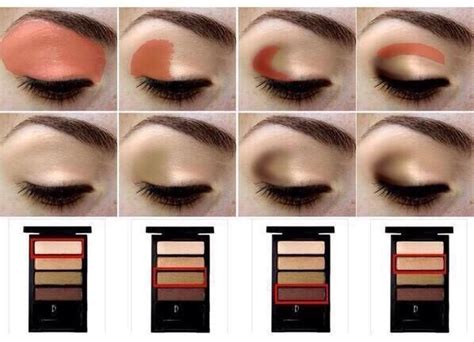 how to apply eyeshadow step by step | Eye makeup, Makeup, Beauty hacks