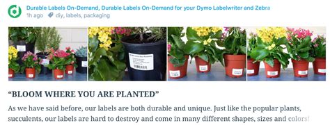 34 Nursery Plant Label Printers - Labels Database 2020