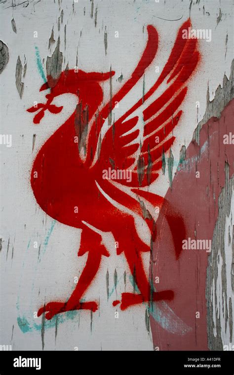 Liver bird liverpool fc symbol Stock Photo - Alamy