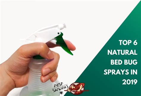 Top 8 Natural Bed Bug Sprays | Safe Solutions for Your Home! - Pest Samurai