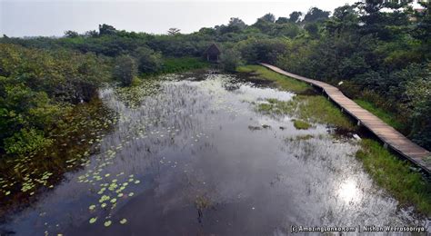 Beddagana Wetland Park | AmazingLanka.com