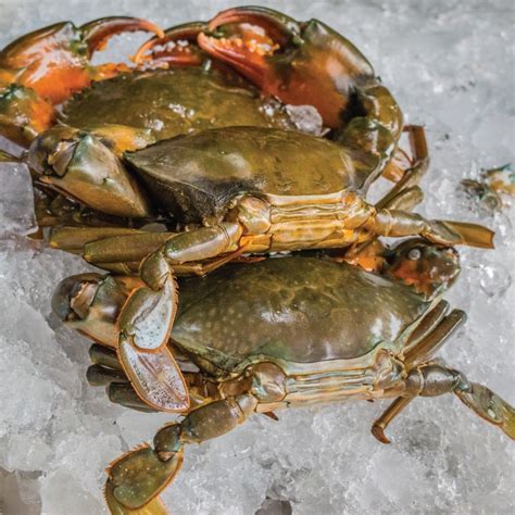 Frozen Soft Shell Crab Australia | Aurum Poultry Co.