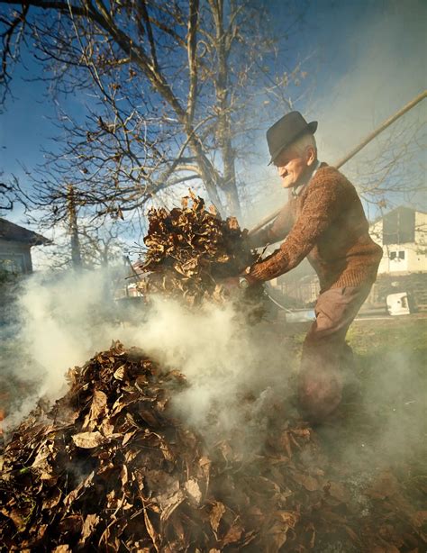 Is Burning Leaves Bad for the Environment? (7 Quick Facts)