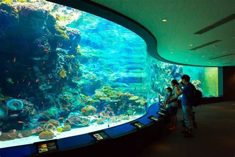 Aquarium Map | Okinawa Churaumi Aquarium - For the next generation to ...