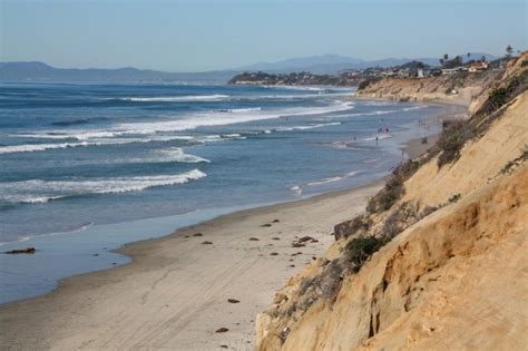 Del Mar Dog Beach – North Beach in Del Mar, CA - California Beaches