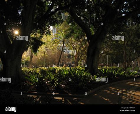 Hyde Park, Sydney Stock Photo - Alamy