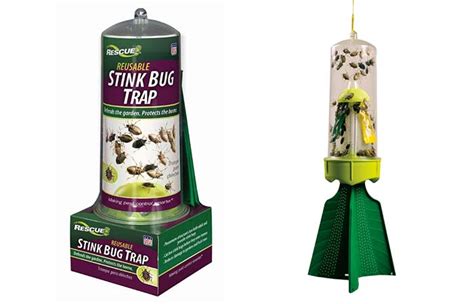Stink Bug Traps-Homemade DIY,How to Make & Reviews | Pestbugs