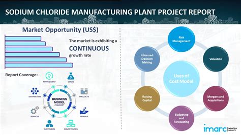 Sodium Chloride Manufacturing Plant Report: Setup & Cost