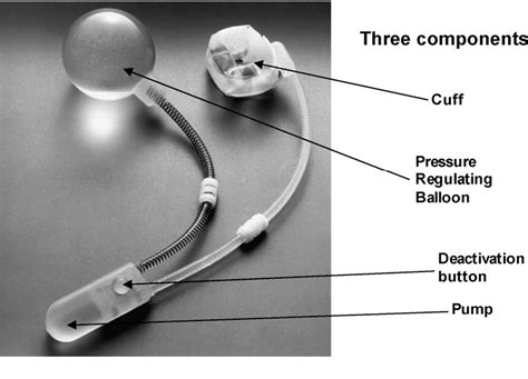 Figure 1 from Development and Current Status of the AMS 800 Artificial ...