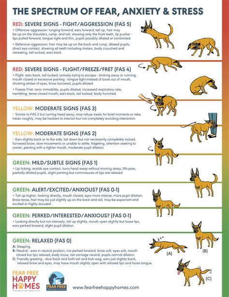 Dog Behavior : Behavior & Understanding Your Pet : Resources : Ramapo-Bergen Animal Refuge, Inc.