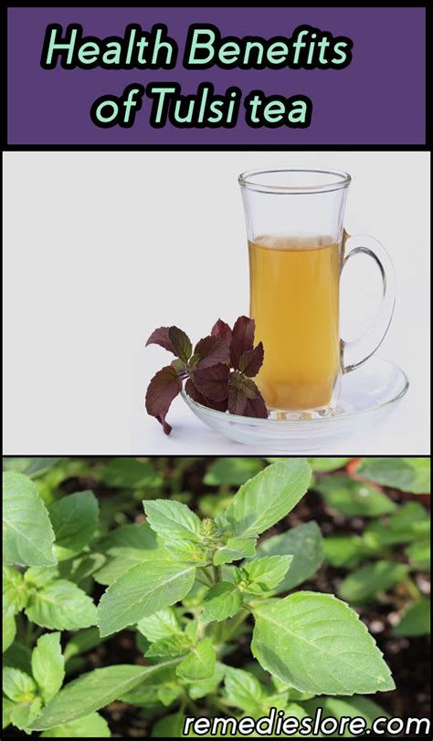 10 Awesome Health Benefits of Tulsi Tea - Remedies Lore