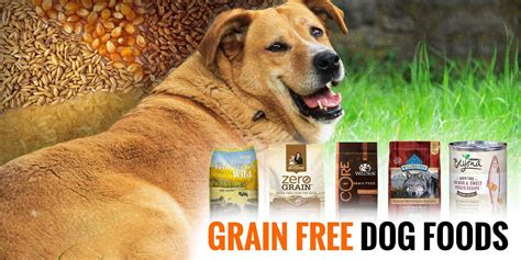 5 Best Grain-Free Dog Foods — Reviews and Buying Guide