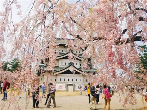 Aomori Prefecture Is One Of Japan's Best-Kept Secrets