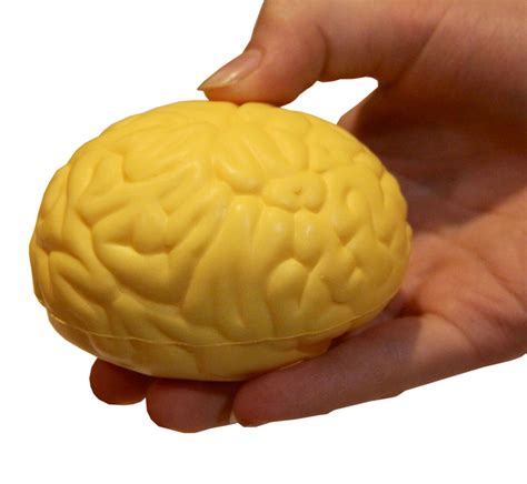 Brain Squish Ball - - Fat Brain Toys