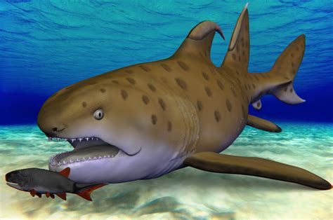 300 million-year-old ‘Godzilla shark’ identified as new species, gets a ...