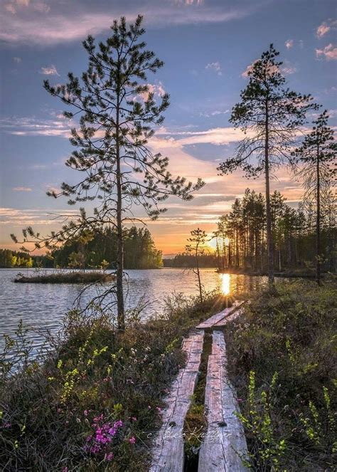 Sign in | Beautiful landscapes, Beautiful nature, Finland nature