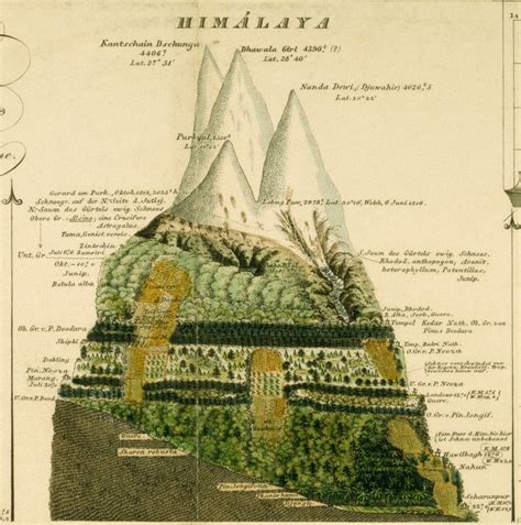 Geobotany of the Himalayas by Alexander von Humboldt (1851) | Map sketch, Scientific ...