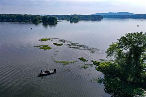 Lay Lake is a puzzle now - Bassmaster