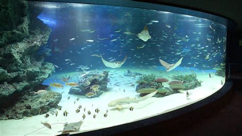 Sunshine Aquarium | Attractions in Ikebukuro, Tokyo