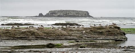 Otter Crest Beach #2 Photograph by Frank Barnitz - Fine Art America