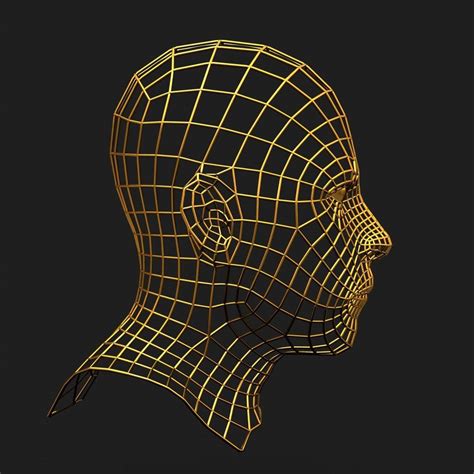 Wireframe Face - 3D Model by dcbittorf