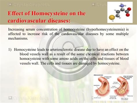 Homocysteine