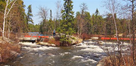 10 of the Best Hiking Trails near Lake of The Woods, Ontario | Hiking ...