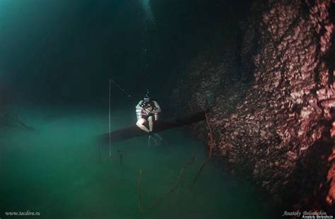 Underwater River, Cenote Angelita, México. | Naturaleza | Pinterest | Underwater and Rivers