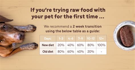 How to transition your dog to raw food easily - Guides | Big Dog Pet Foods