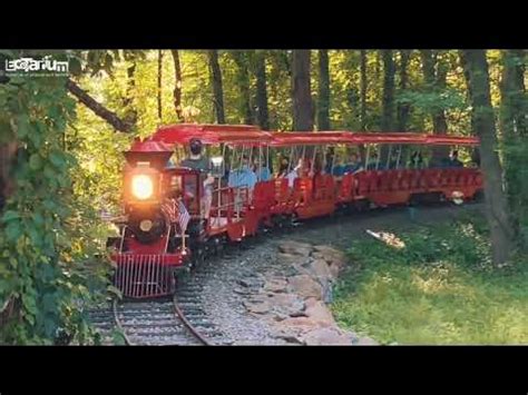 All Aboard! 🚂 - YouTube