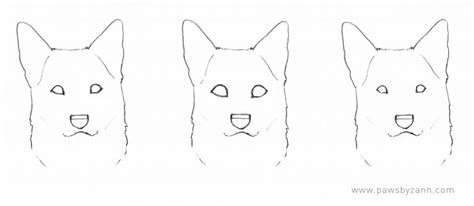 The Ultimate Guide to Drawing Dog Eyes