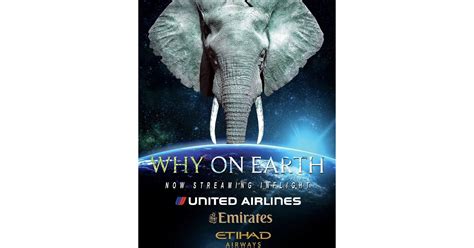 Why on Earth, the Powerful Award-Winning Wildlife Documentary Featuring ...