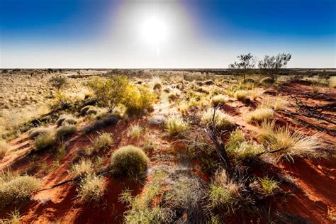 What do Aboriginal Australians want from their aged care system? Community connection is number one