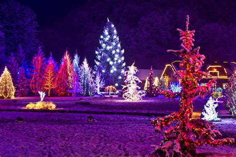 Choosing LEDs for your Holiday Lights - Elmwood Park Zoo