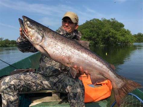 Catch of my friend, Kamchatka Peninsula, Russia. : r/Fishing