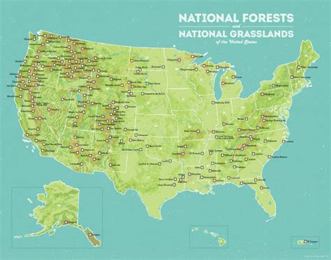 US National Forests Map 11x14 Print - Best Maps Ever