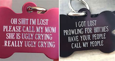 Dog Owners Are Going Barking Mad For These Funny Dog Tags