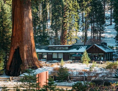 10 Best Day Hikes In Sequoia National Park