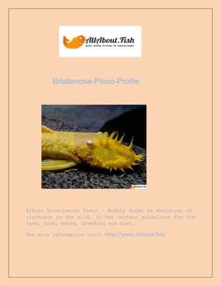 Bristlenose pleco-profile | PDF