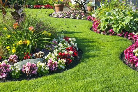 Découvrir 48 kuva plantas com flores para jardim - Thptnganamst.edu.vn