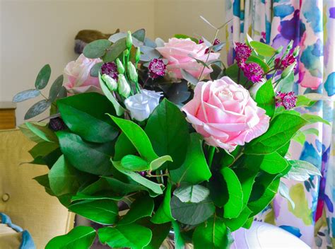 Competition: Win a beautiful Valentine's Day bouquet with Serenata ...