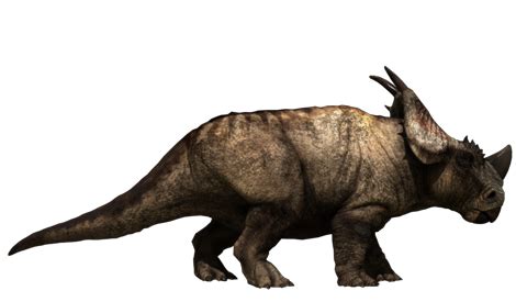 Pachyrhinosaurus - Jurassic Fight Club